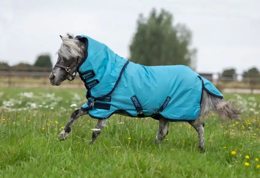 Amigo Hero 6 Petite Plus Turnout Lite 0g Horseware Fynd