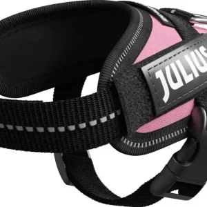 Billigare Hundsele IDC sele Rosa Julius-K9