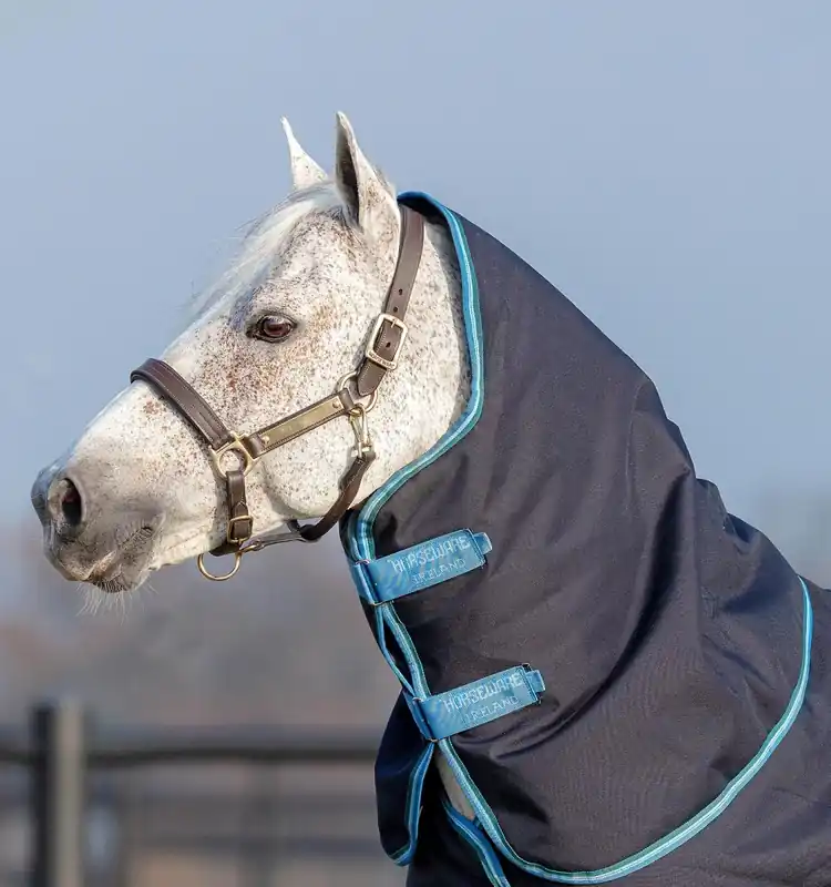 Halstäcke Amigo Hood 150g Horseware Handla nu