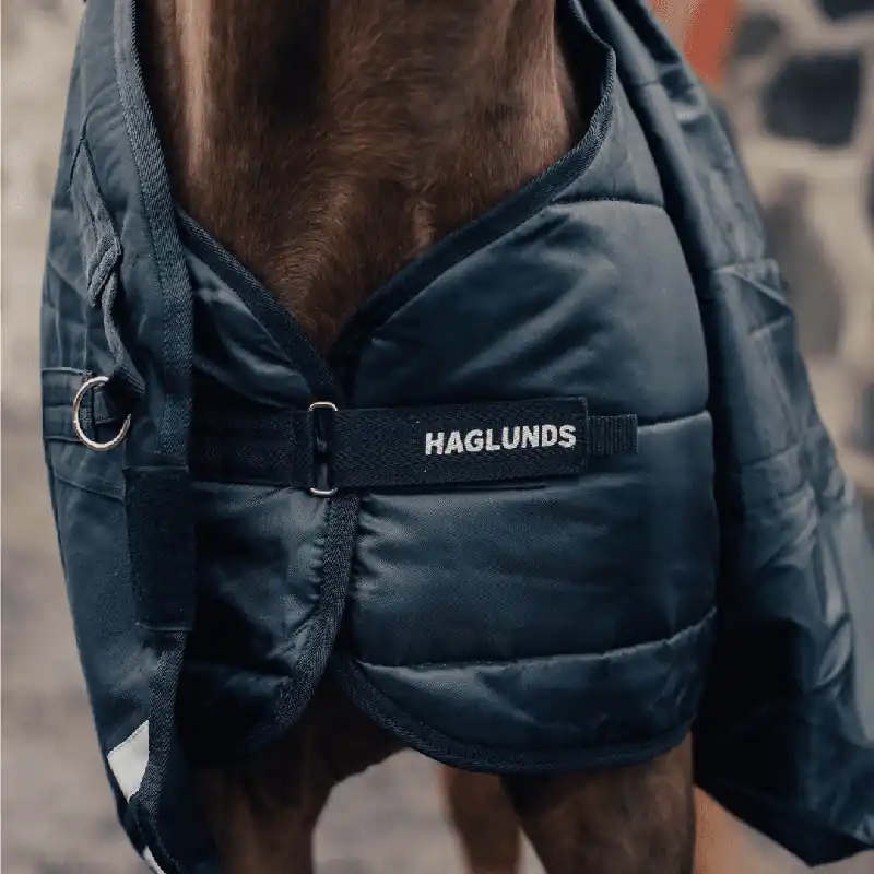 Begränsat antal Liner 200g Haglunds 2
