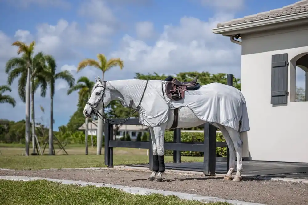 Kundfavorit Ridflugtäcke Fly Rider Amigo Horseware