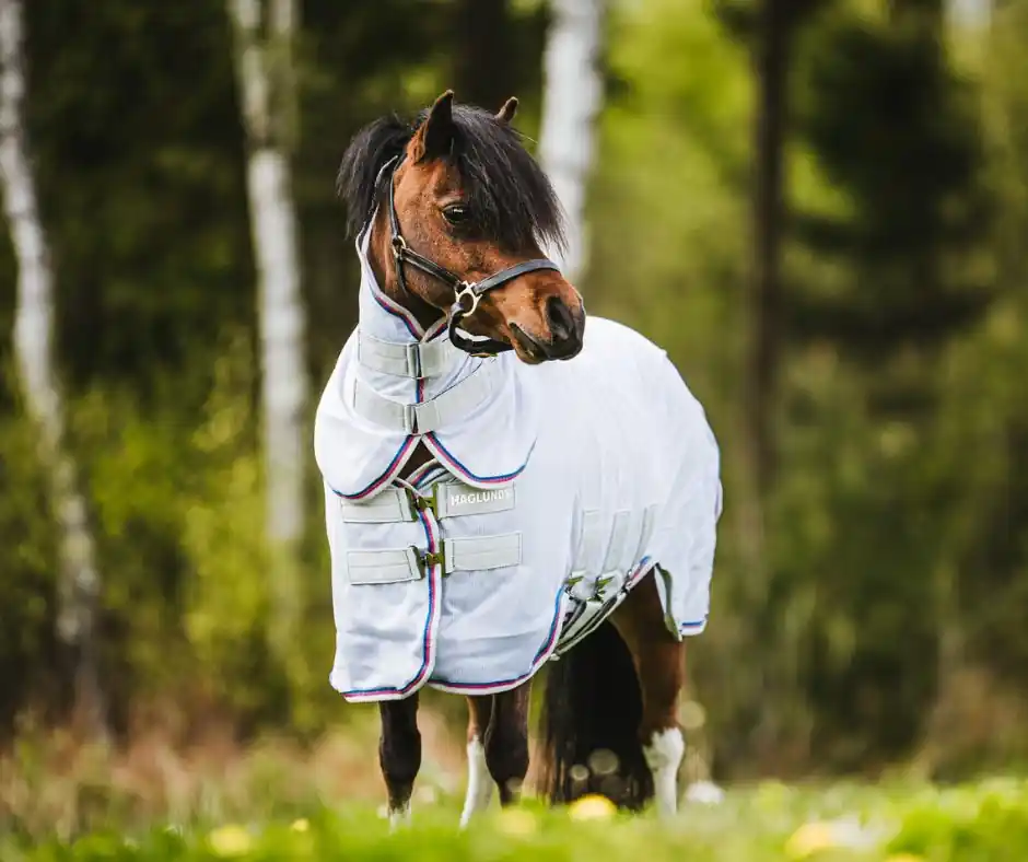 Begränsad tid Flugtäcke All-in-One Ponny Haglunds