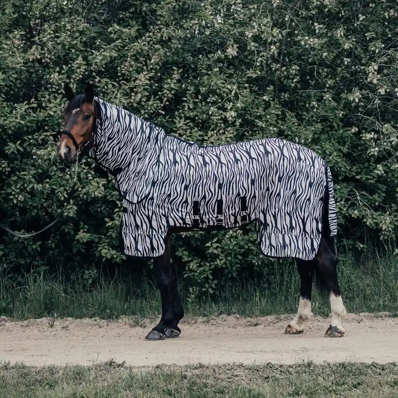 Nyhet Flugtäcke All-in-One Zebra New Basic 2.0 Haglunds