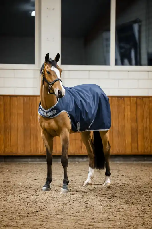Walkertäcke Amigo 100g Horseware Snabb frakt