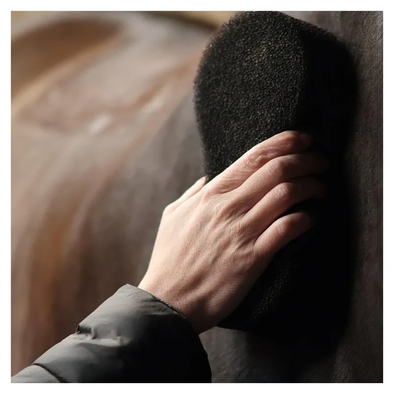 Shine scrubber sponge Lami-Cell Bästa pris