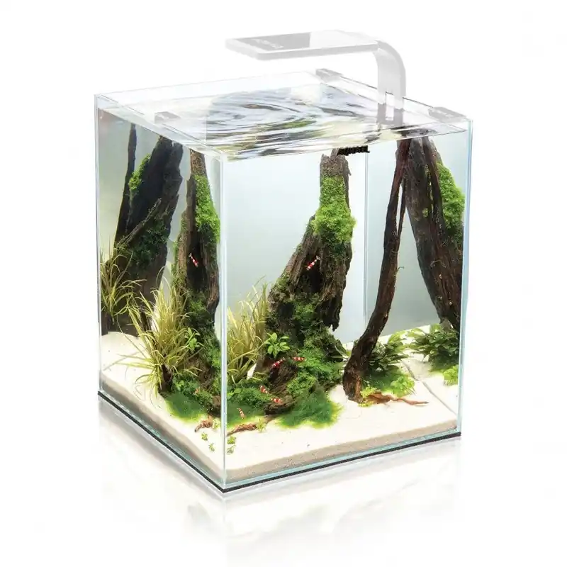 Billigare Akvarium Shrimp Set Day&Night 30L Vit