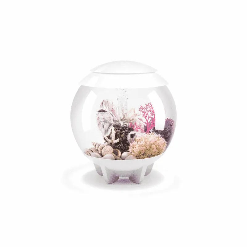 biOrb HALO 15 MCR vit Billig