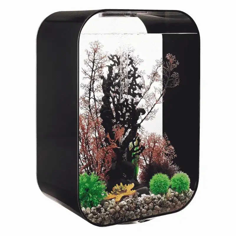 Erbjudandepris biOrb LIFE 60 MCR svart