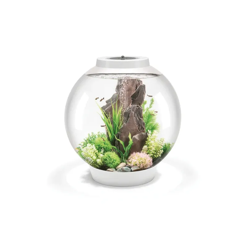 Snabb leverans biOrb CLASSIC 60 LED vit