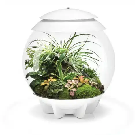 Billigare biOrb AIR 30 L Vit
