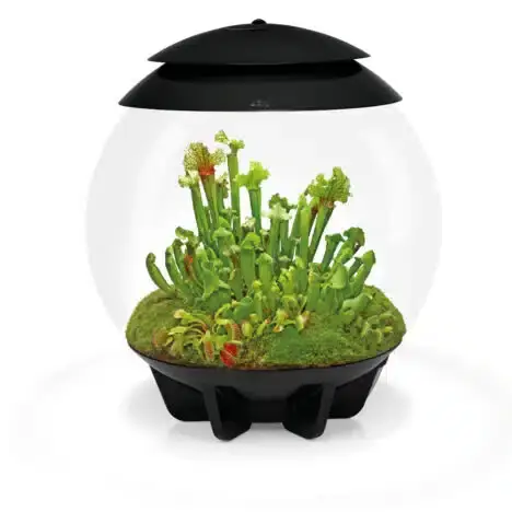 Nyhet biOrb AIR 30 L Svart