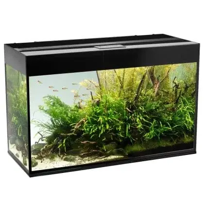 Nedsatt pris Akvarium Glossy 260L Svart