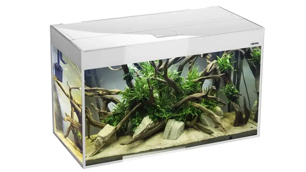 Snabb frakt Akvarium Glossy 472L Vit