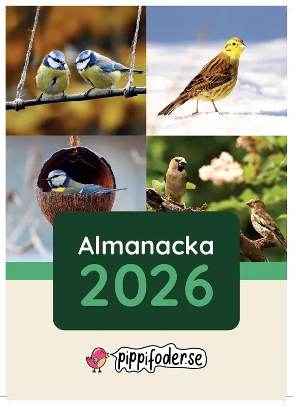 Köp nu Fågelmatningskalender 2026